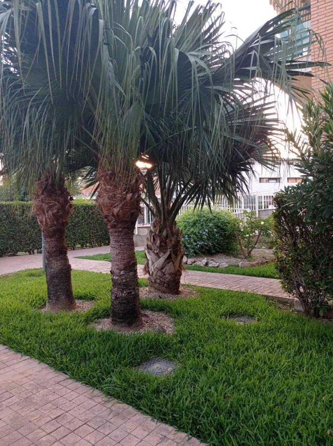 Apartamento Pilar Solo Familias Gandía Dış mekan fotoğraf